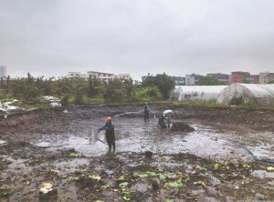 玉林河道鱼塘清淤